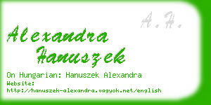 alexandra hanuszek business card